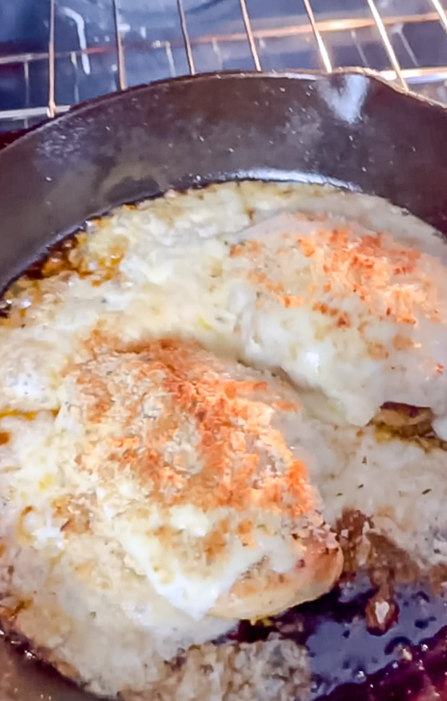 cheesy chicken broiled in a pan